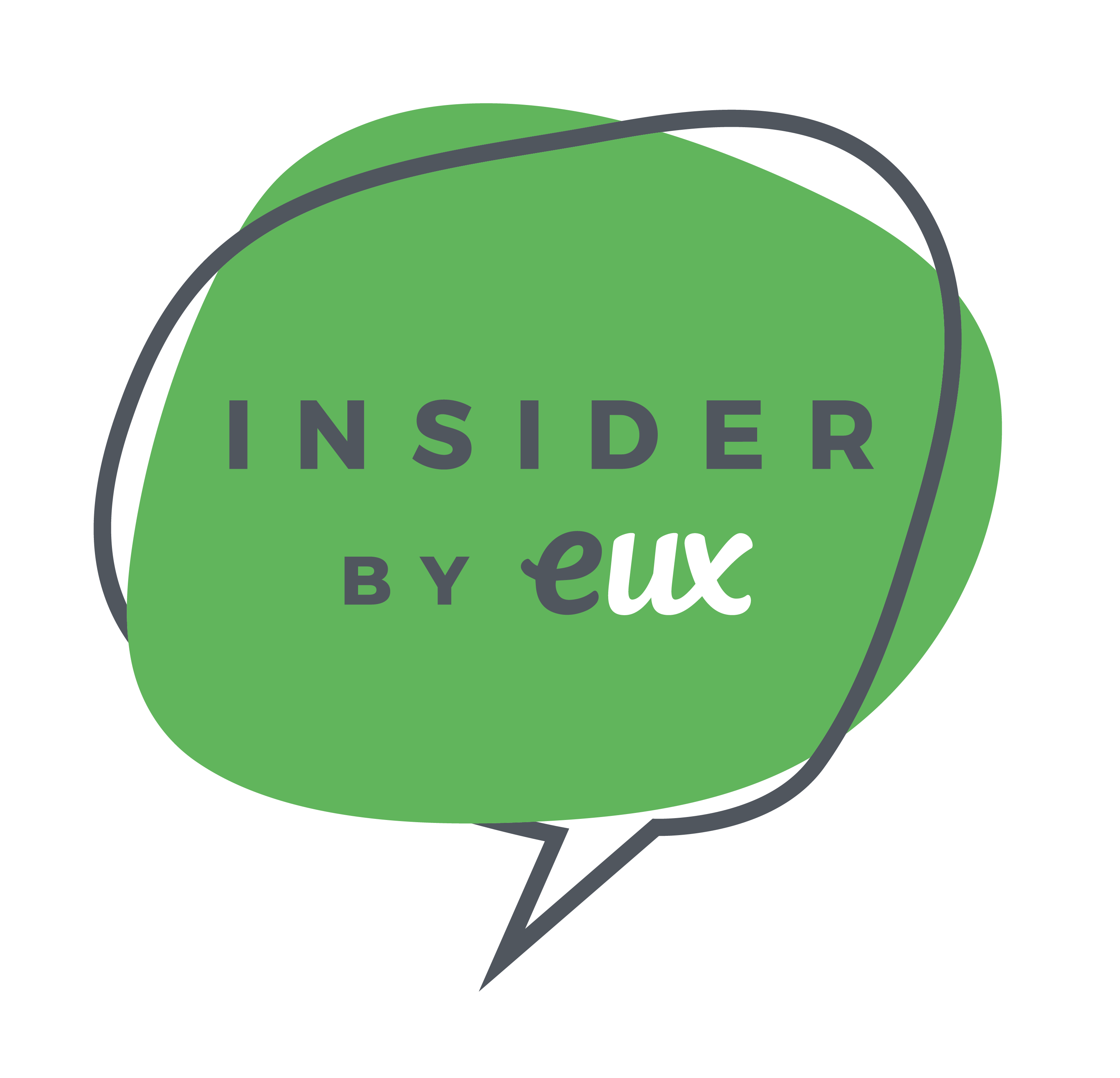 Experience UX Insider Logo
