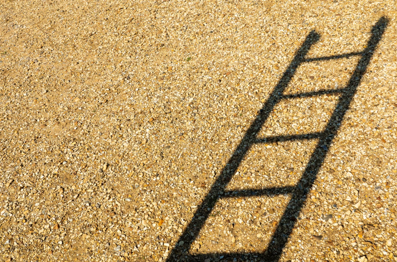 shadow of a ladder