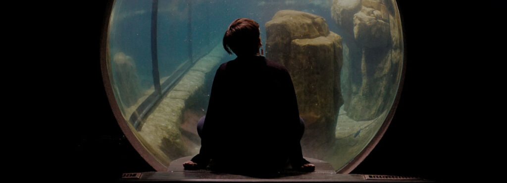 A person looks through the window of an aquarium