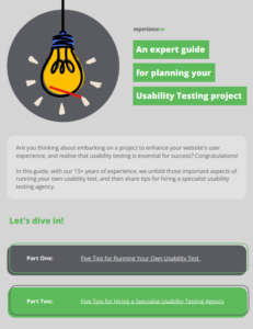 Usability Testing Exper Guide Download